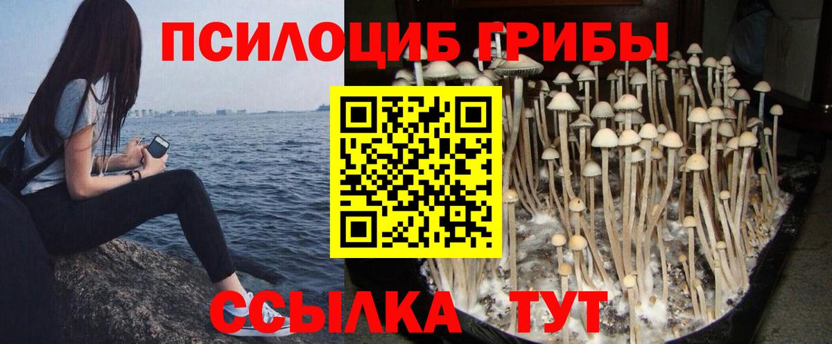 Псилоцибиновые грибы Magic Shrooms  Вход с VPN  Галлюциногенные грибы ЛСД  Кудрово 